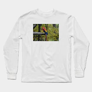 Macaw Parrot Long Sleeve T-Shirt